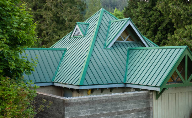 Best Sheet Metal Roofing  in Tonto Basin, AZ